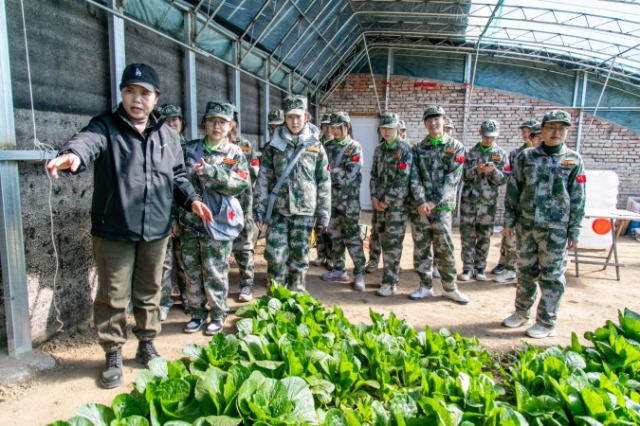 師生在第六埠村蔬菜大棚，了解蔬菜種植過(guò)程和常見病蟲害防治等知識(shí)。.jpg